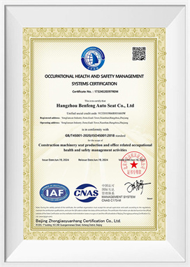 Salus et salus administratio systema-EN